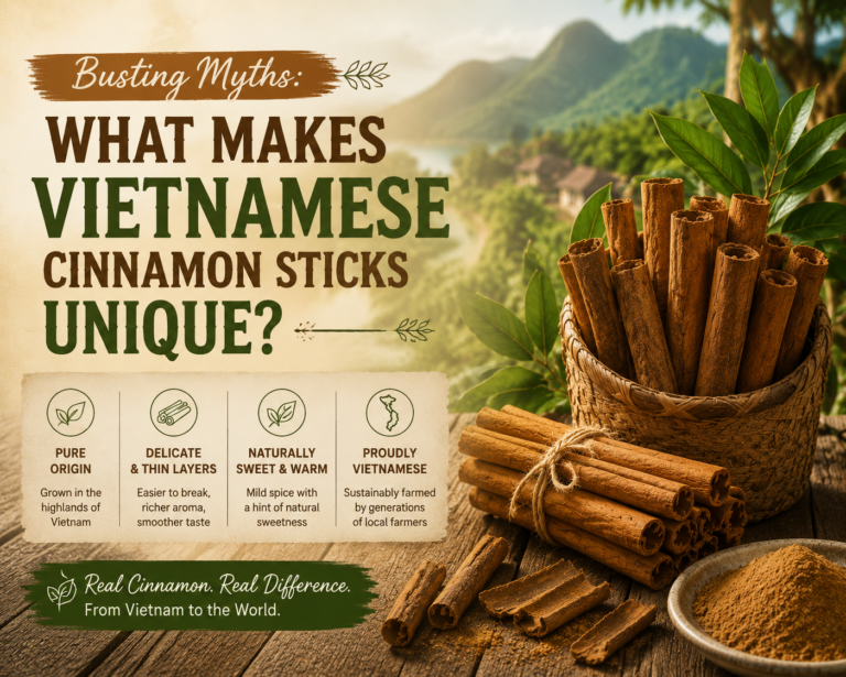 Busting Myths What Makes Vietnamese Cinnamon Sticks Unique